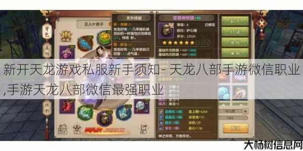 新开天龙游戏私服新手须知- 天龙八部手游微信职业,手游天龙八部微信最强职业 第1张