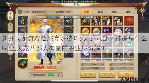 新开天龙游戏私服完好技巧: 天龙八部大神豪是什么职业,天龙八部大神豪的职业身份解析 第1张