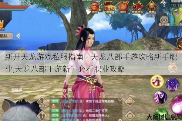 新开天龙游戏私服指南 - 天龙八部手游攻略新手职业,天龙八部手游新手必看职业攻略 第1张