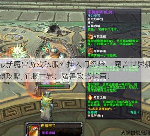 最新魔兽游戏私服外挂入门经验、 魔兽世界插旗攻略,征服世界：魔兽攻略指南! 第1张
