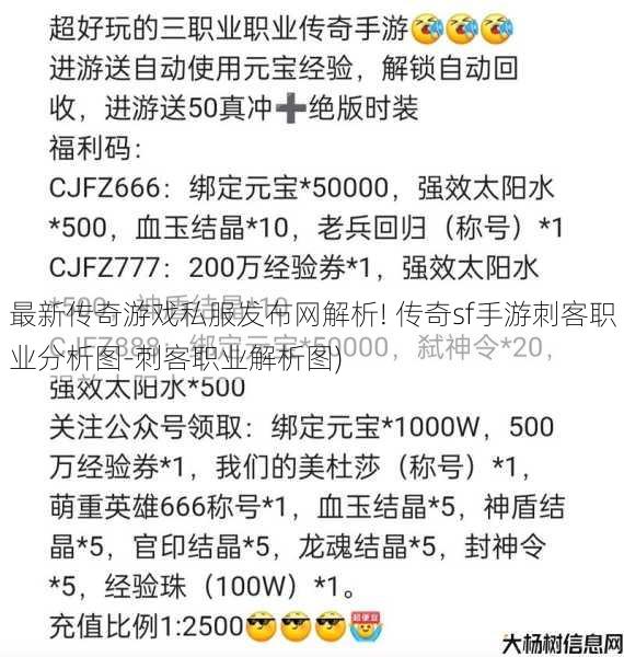 最新传奇游戏私服发布网解析! 传奇sf手游刺客职业分析图-刺客职业解析图)