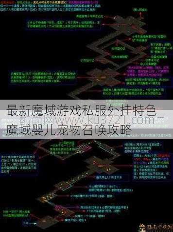 最新魔域游戏私服外挂特色_ 魔域婴儿宠物召唤攻略 第1张