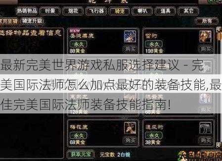 最新完美世界游戏私服选择建议 - 完美国际法师怎么加点最好的装备技能,最佳完美国际法师装备技能指南! 第1张