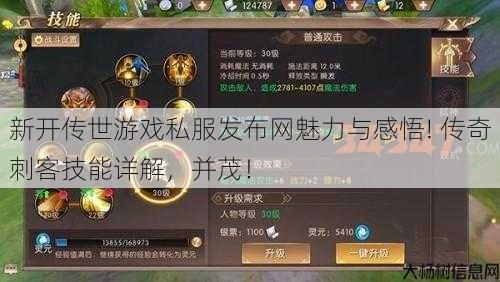 新开传世游戏私服发布网魅力与感悟! 传奇刺客技能详解,并茂!