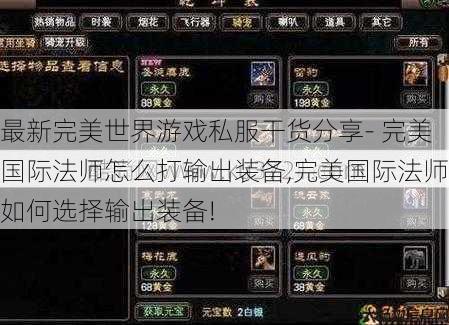 最新完美世界游戏私服干货分享- 完美国际法师怎么打输出装备,完美国际法师如何选择输出装备! 第1张