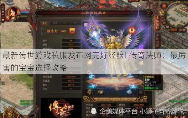 最新传世游戏私服发布网完好经验! 传奇法师：最厉害的宝宝选择攻略
