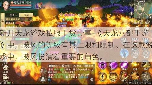 新开天龙游戏私服干货分享-《天龙八部手游》中，披风的等级有其上限和限制。在这款游戏中，披风扮演着重要的角色。 第1张