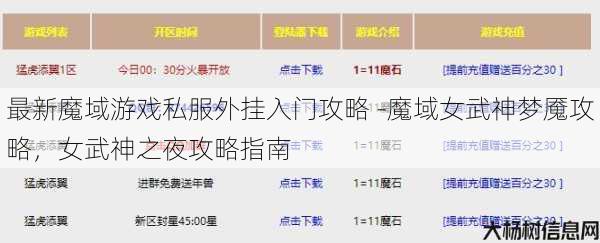 最新魔域游戏私服外挂入门攻略 -魔域女武神梦魇攻略，女武神之夜攻略指南 第1张