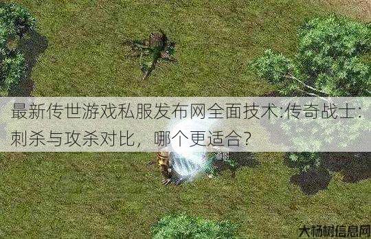 最新传世游戏私服发布网全面技术:传奇战士：刺杀与攻杀对比，哪个更适合？ 第1张