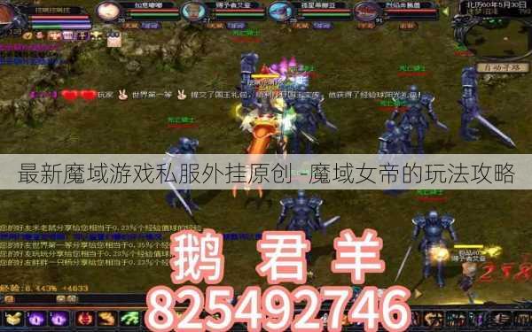 最新魔域游戏私服外挂原创 -魔域女帝的玩法攻略 第1张
