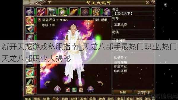 新开天龙游戏私服指南_天龙八部手最热门职业,热门天龙八部职业大揭秘 第1张
