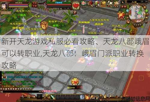 新开天龙游戏私服必看攻略、天龙八部峨眉可以转职业,天龙八部：峨眉门派职业转换攻略 第1张