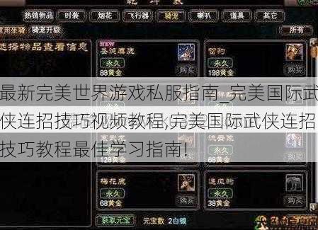 最新完美世界游戏私服指南_完美国际武侠连招技巧视频教程,完美国际武侠连招技巧教程最佳学习指南!