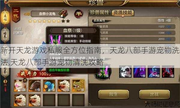 新开天龙游戏私服全方位指南，天龙八部手游宠物洗法,天龙八部手游宠物清洗攻略 第1张