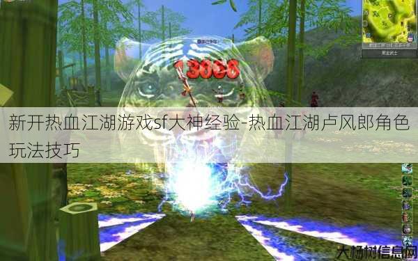 新开热血江湖游戏sf大神经验-热血江湖卢风郎角色玩法技巧 第1张