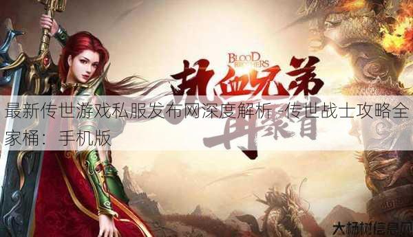 最新传世游戏私服发布网深度解析 -传世战士攻略全家桶：手机版 第1张