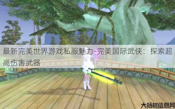 最新完美世界游戏私服魅力-完美国际武侠：探索超高伤害武器