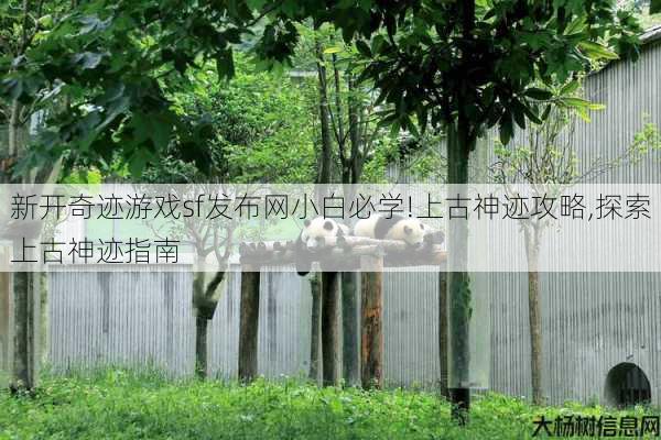 新开奇迹游戏sf发布网小白必学!上古神迹攻略,探索上古神迹指南 第1张 新开奇迹游戏sf发布网小白必学!上古神迹攻略,探索上古神迹指南 第1张