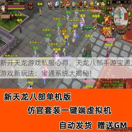 新开天龙游戏私服心得，天龙八部手游宝通,游戏新玩法：宝通系统大揭秘！ 第1张