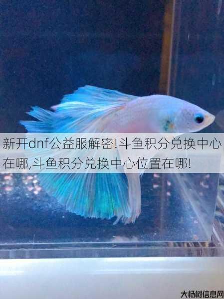 新开dnf公益服解密!斗鱼积分兑换中心在哪,斗鱼积分兑换中心位置在哪! 第1张