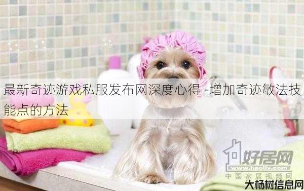 最新奇迹游戏私服发布网深度心得 -增加奇迹敏法技能点的方法 第1张 最新奇迹游戏私服发布网深度心得 -增加奇迹敏法技能点的方法 第1张