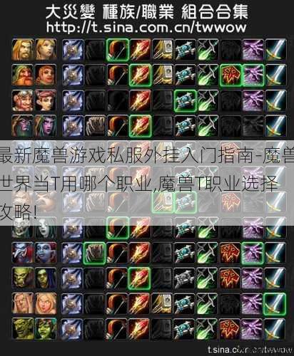 最新魔兽游戏私服外挂入门指南-魔兽世界当T用哪个职业,魔兽T职业选择攻略! 第1张
