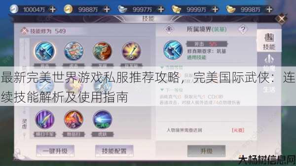 最新完美世界游戏私服推荐攻略，完美国际武侠：连续技能解析及使用指南 第1张