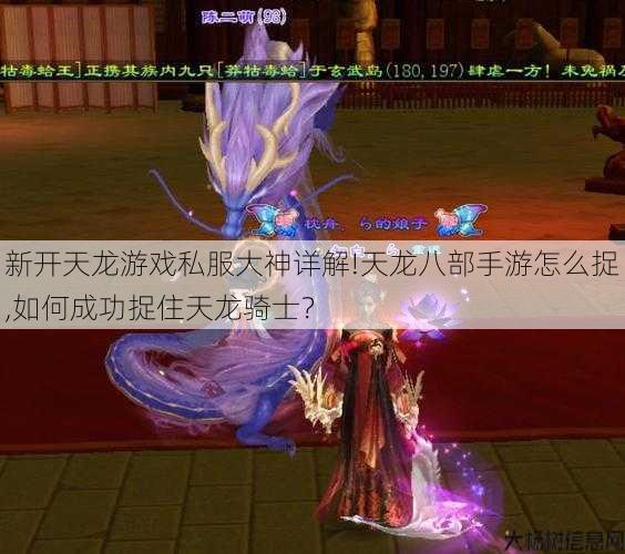 新开天龙游戏私服大神详解!天龙八部手游怎么捉,如何成功捉住天龙骑士? 第1张 新开天龙游戏私服大神详解!天龙八部手游怎么捉,如何成功捉住天龙骑士? 第1张