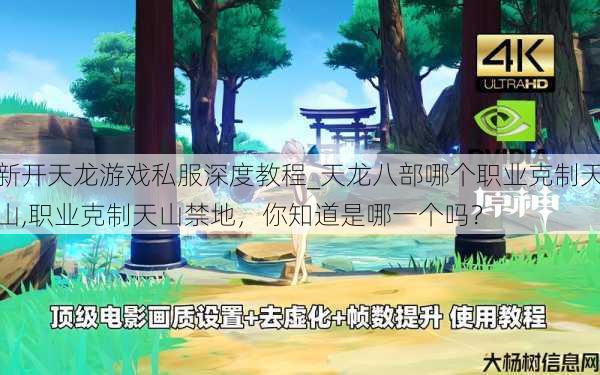 新开天龙游戏私服深度教程_天龙八部哪个职业克制天山,职业克制天山禁地,你知道是哪一个吗? 第1张 新开天龙游戏私服深度教程_天龙八部哪个职业克制天山,职业克制天山禁地,你知道是哪一个吗? 第1张