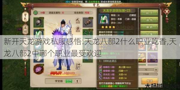 新开天龙游戏私服感悟:天龙八部2什么职业吃香,天龙八部2中哪个职业最受欢迎 第1张