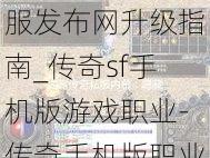 最新传奇游戏私服发布网升级指南_传奇sf手机版游戏职业-传奇手机版职业介绍