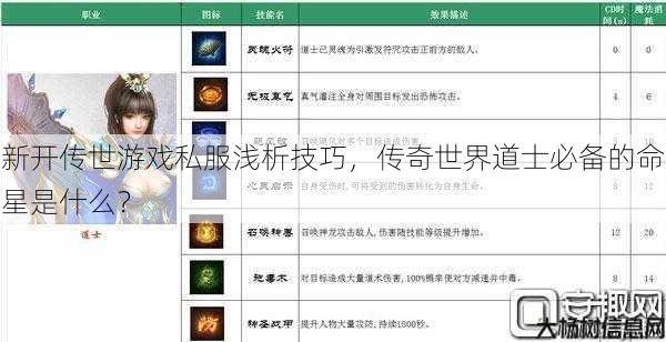 新开传世游戏私服浅析技巧，传奇世界道士必备的命星是什么？ 第1张