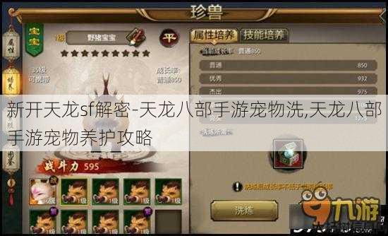 新开天龙sf解密-天龙八部手游宠物洗,天龙八部手游宠物养护攻略 第1张