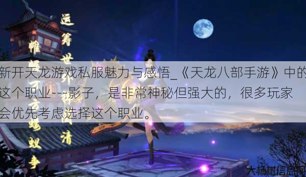 新开天龙游戏私服魅力与感悟_《天龙八部手游》中的这个职业---影子，是非常神秘但强大的，很多玩家会优先考虑选择这个职业。 第1张