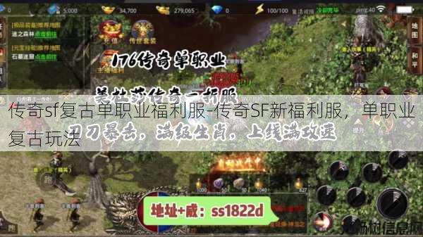 传奇sf复古单职业福利服-传奇SF新福利服,单职业复古玩法 第1张 传奇sf复古单职业福利服-传奇SF新福利服,单职业复古玩法 第1张