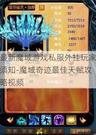 最新魔域游戏私服外挂玩家须知-魔域奇迹最佳天赋攻略视频 第1张