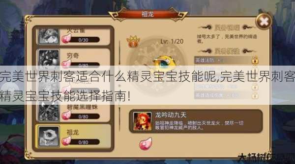 完美世界刺客适合什么精灵宝宝技能呢,完美世界刺客精灵宝宝技能选择指南! 第1张