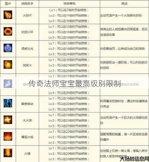 传奇法师宝宝最高级别限制