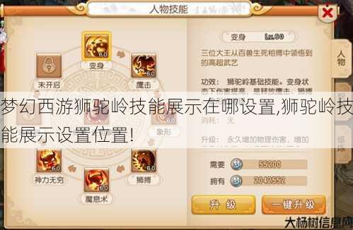 梦幻西游狮驼岭技能展示在哪设置,狮驼岭技能展示设置位置!