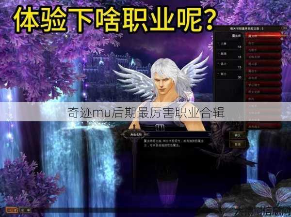 奇迹mu后期最厉害职业合辑 第1张 奇迹mu后期最厉害职业合辑 第1张