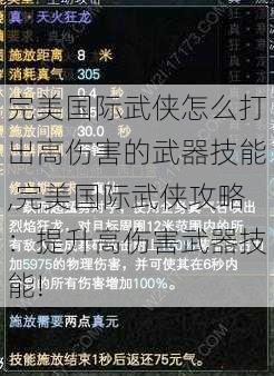 完美国际武侠怎么打出高伤害的武器技能,完美国际武侠攻略：提升高伤害武器技能! 第1张