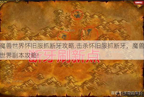 魔兽世界怀旧服抓断牙攻略,击杀怀旧服抓断牙，魔兽世界副本攻略! 第1张