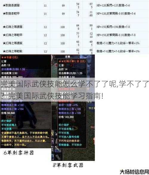 完美国际武侠技能怎么学不了了呢,学不了了？完美国际武侠技能学习指南! 第1张