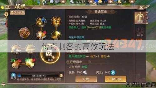 传奇刺客的高效玩法 第1张 传奇刺客的高效玩法 第1张