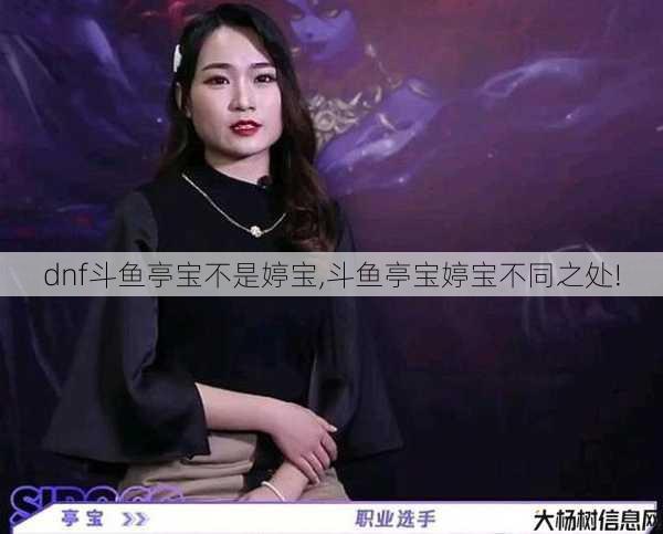 dnf斗鱼亭宝不是婷宝,斗鱼亭宝婷宝不同之处!