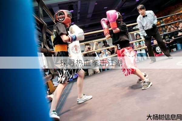 探寻热血拳击江湖 第1张