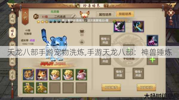 天龙八部手游宠物洗炼,手游天龙八部:神兽锤炼 第1张 天龙八部手游宠物洗炼,手游天龙八部:神兽锤炼 第1张