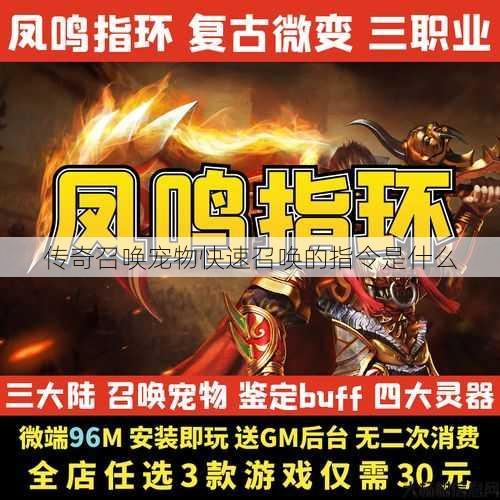 传奇召唤宠物快速召唤的指令是什么