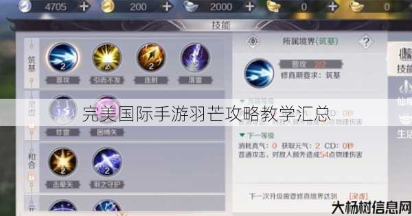 完美国际手游羽芒攻略教学汇总 第1张 完美国际手游羽芒攻略教学汇总 第1张