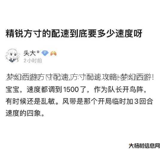 梦幻西游方寸配速,方寸配速攻略-梦幻西游! 第1张